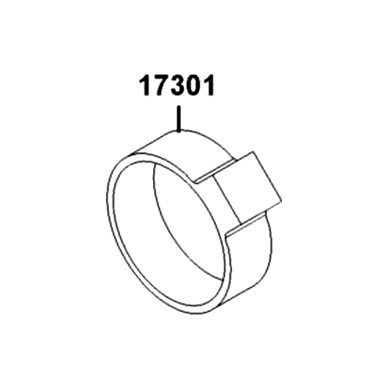 17301-LEA7-M31 RUBBER CANISTER MOUNT — diagram cutout