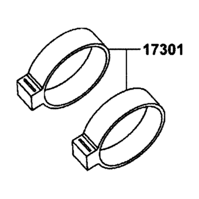 17301-LEC1-M00 RUBBER CANISTER MOUNT — diagram cutout