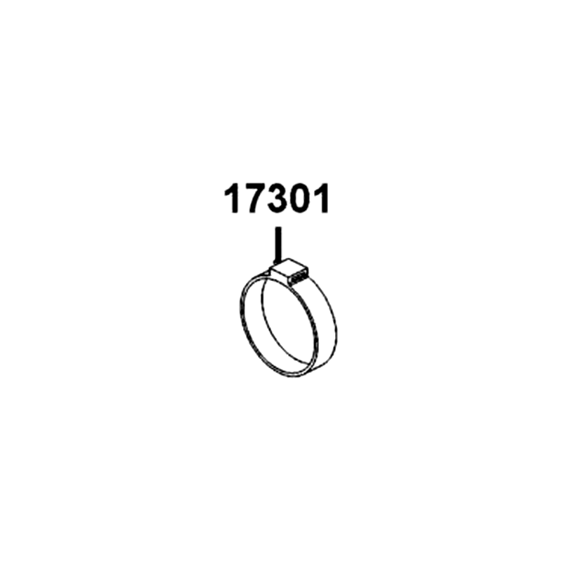 17301-LGS6-M31 RUBBER CANISTER MOUNT — diagram cutout