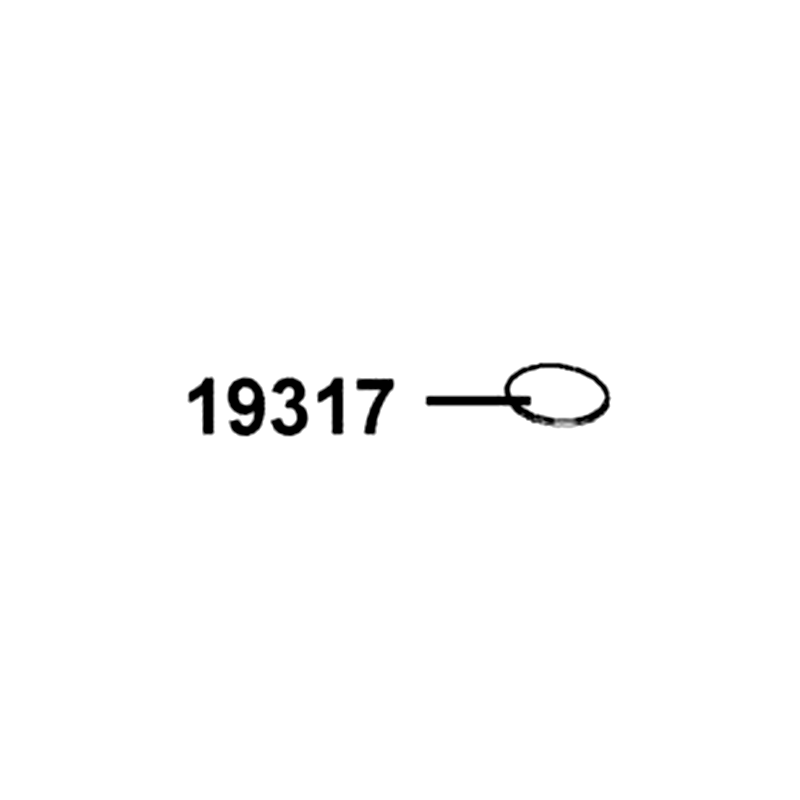 19317-LBA2-E00 RING 48.3X2 — diagram cutout