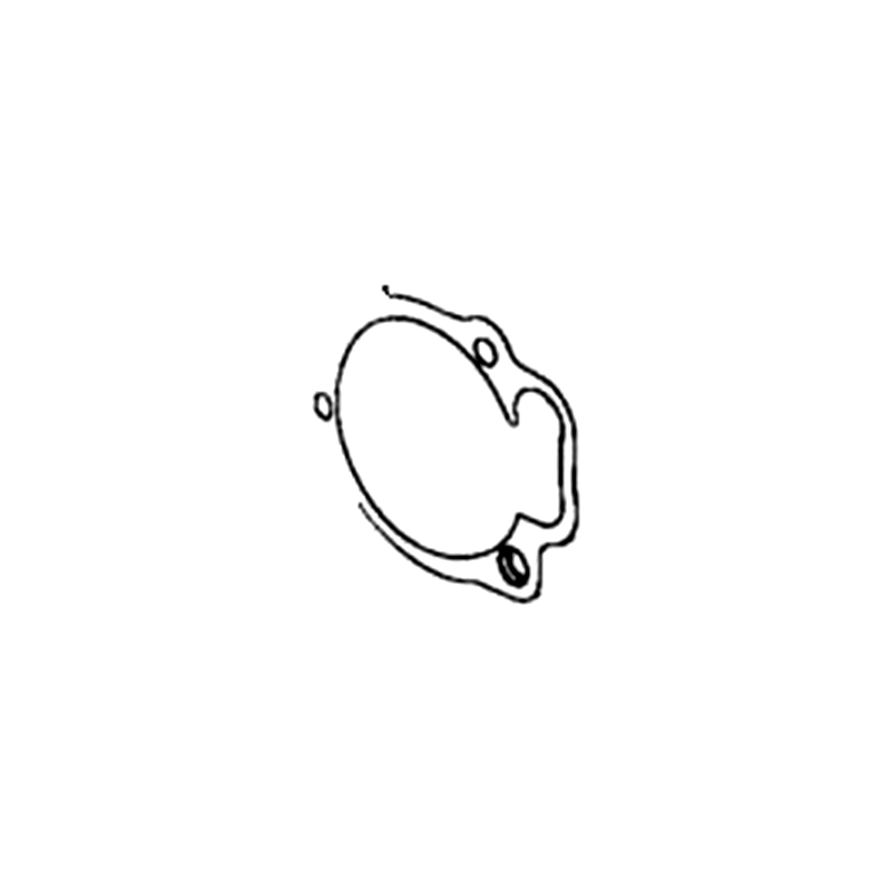 42413-LKC3-500 GASKET FLANGE — diagram cutout