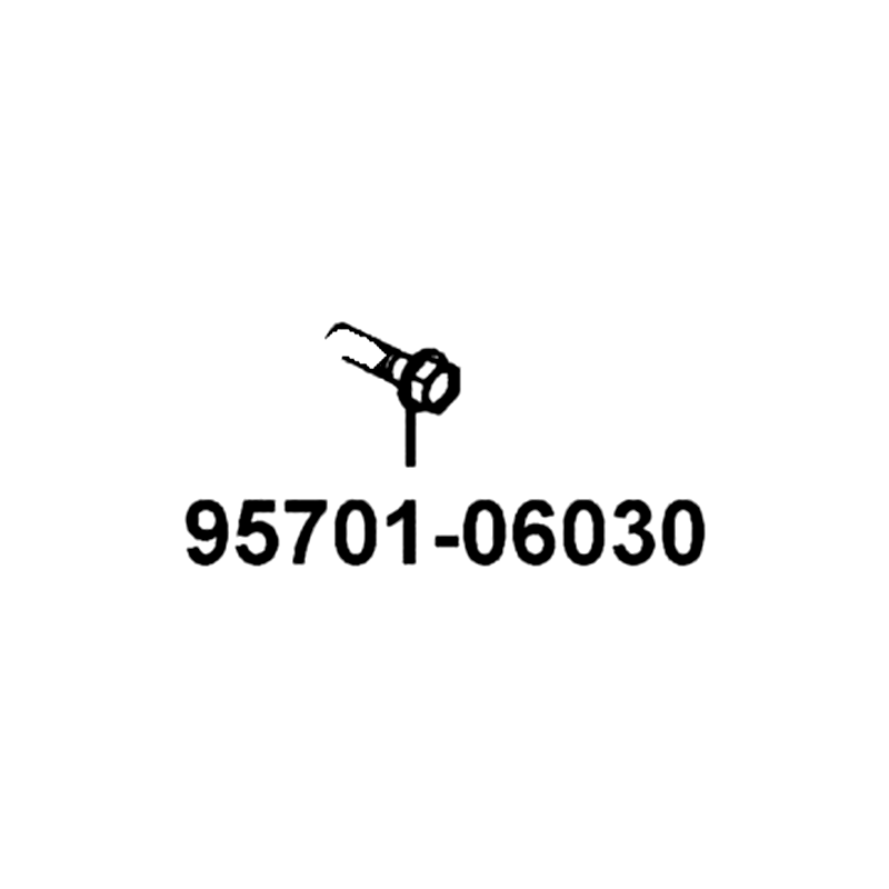 95701-06030-06 BOLT FLANGE 6X30 — diagram cutout